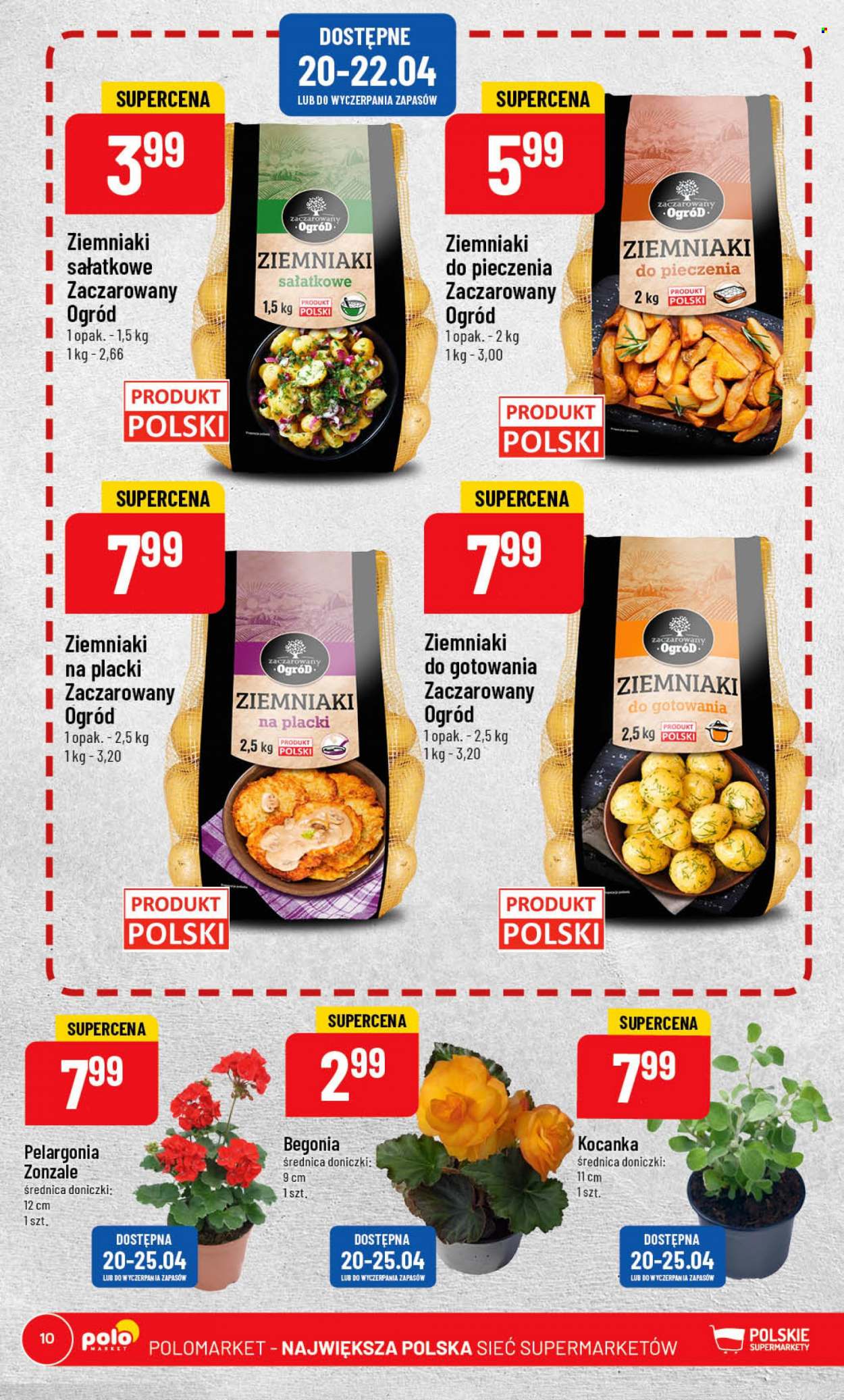 Gazetka Polomarket - 19.04.2023 - 25.04.2023. Strona 10
