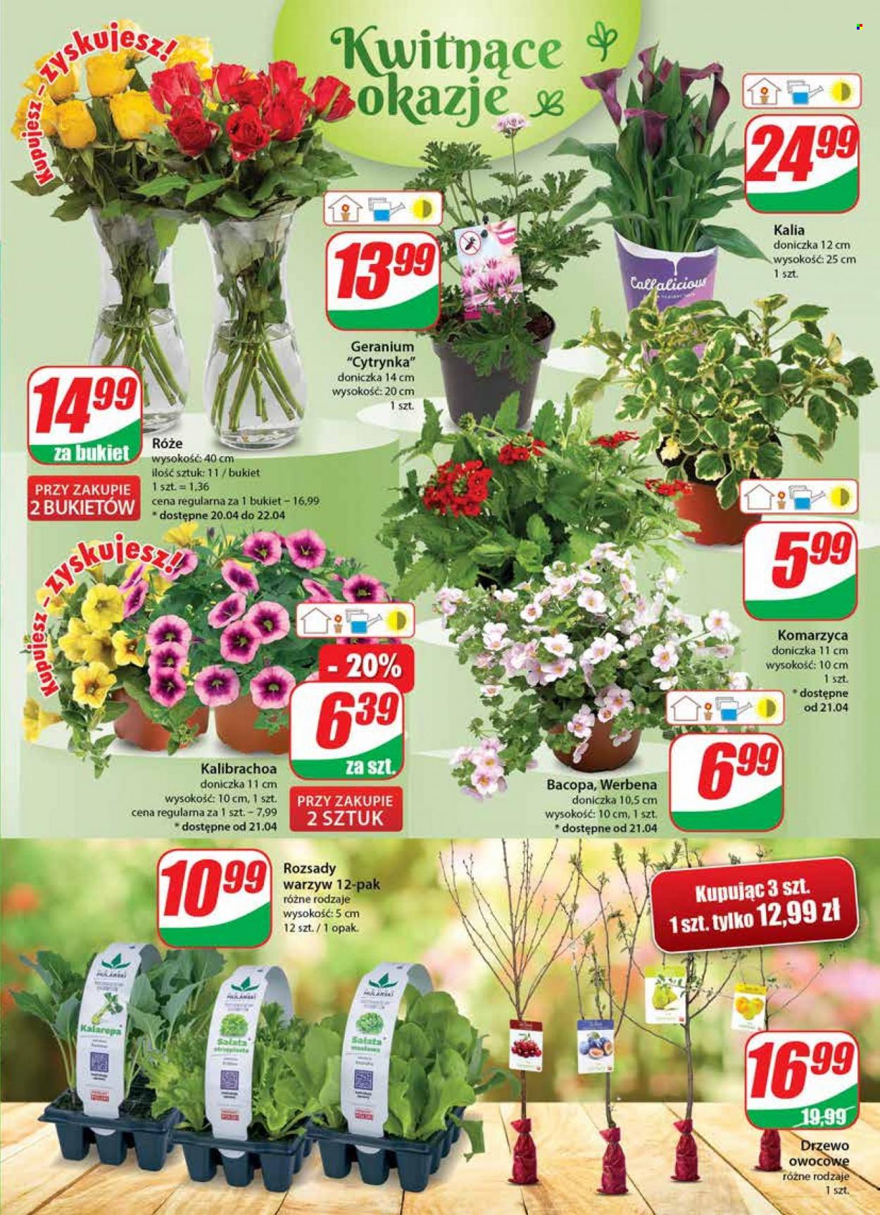 Gazetka Dino - 19.04.2023 - 25.04.2023. Strona 19