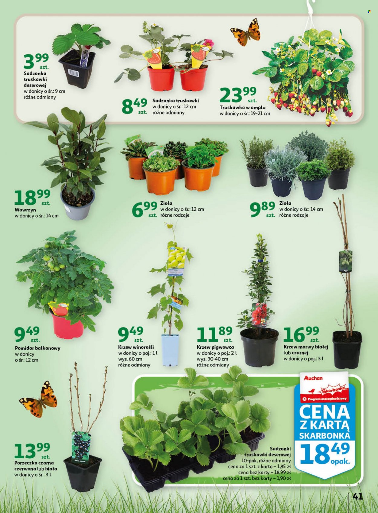 Gazetka Auchan - 20.04.2023 - 26.04.2023. Strona 41