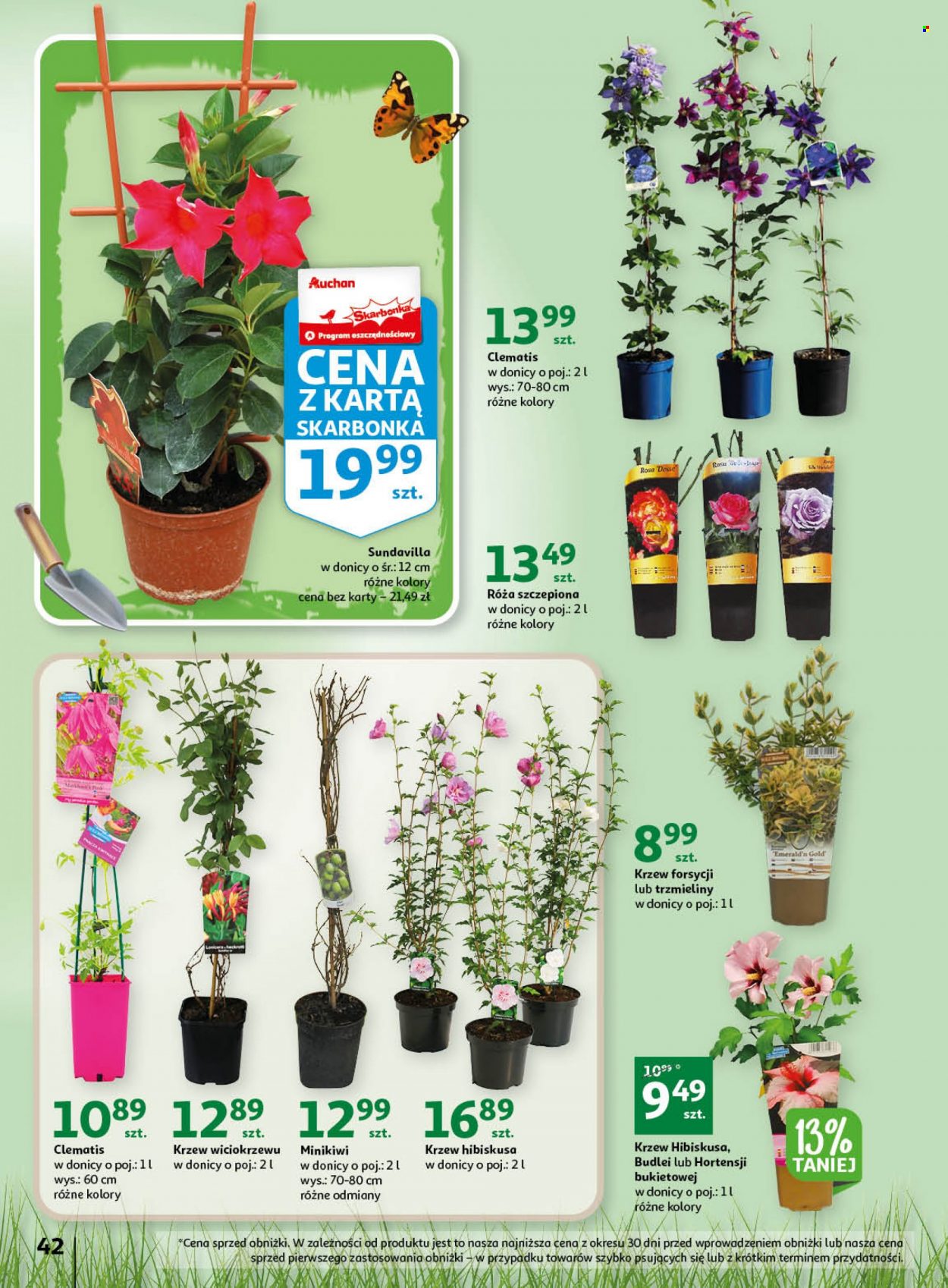 Gazetka Auchan - 20.04.2023 - 26.04.2023. Strona 42