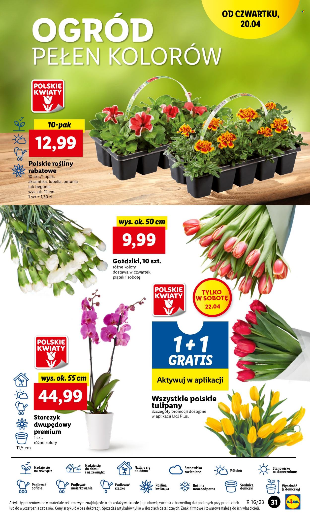 Gazetka Lidl - 20.04.2023 - 22.04.2023. Strona 39