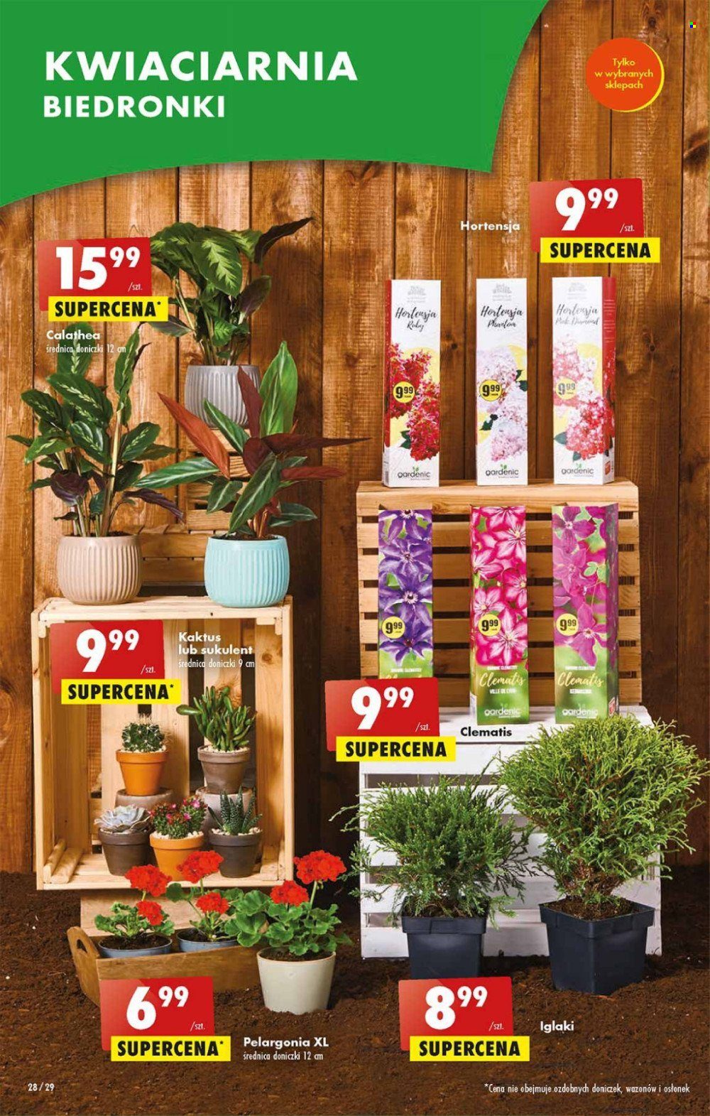 Gazetka Biedronka - 20.04.2023 - 26.04.2023. Strona 28