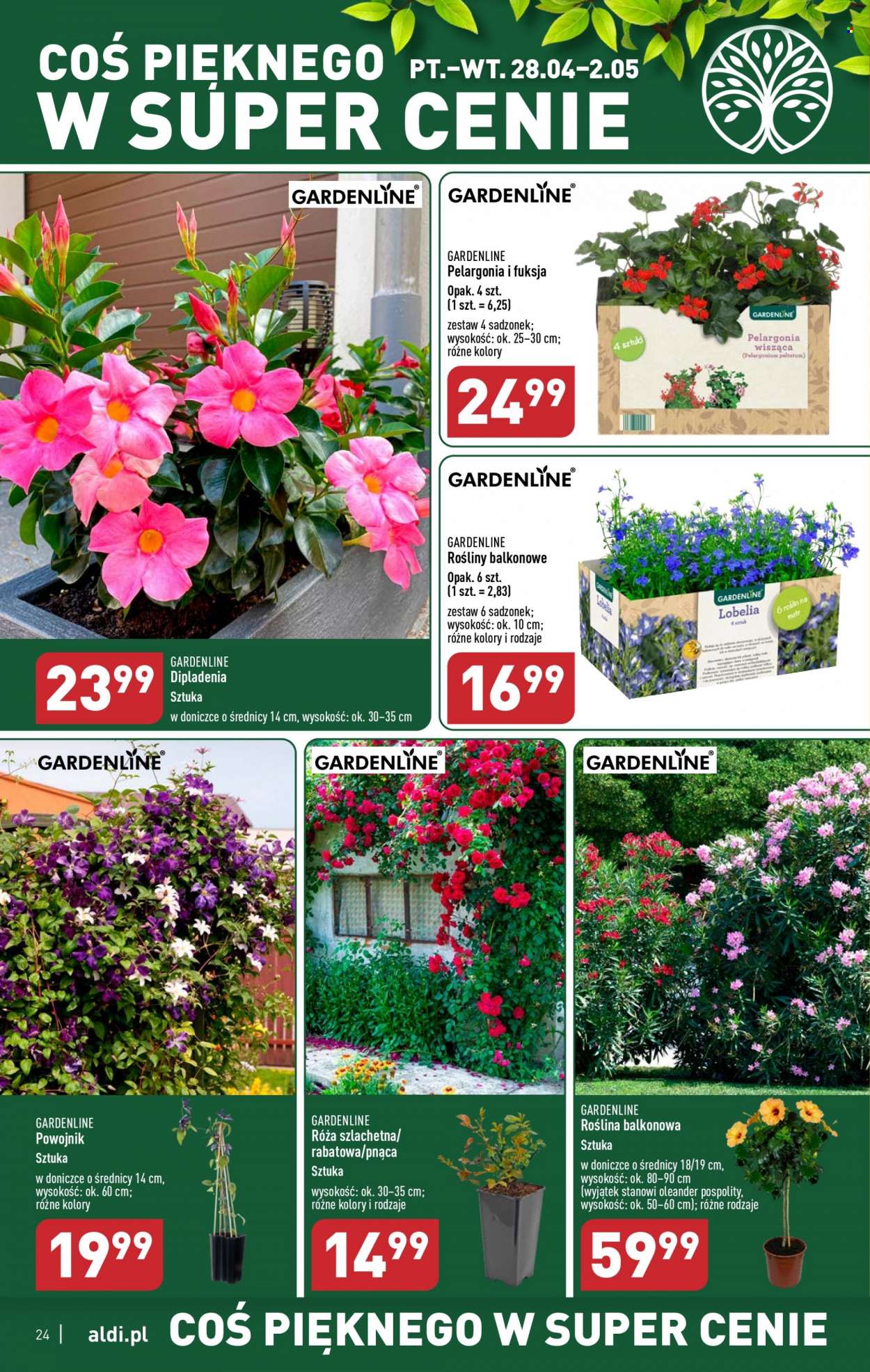 Gazetka ALDI - 24.04.2023 - 2.05.2023. Strona 24