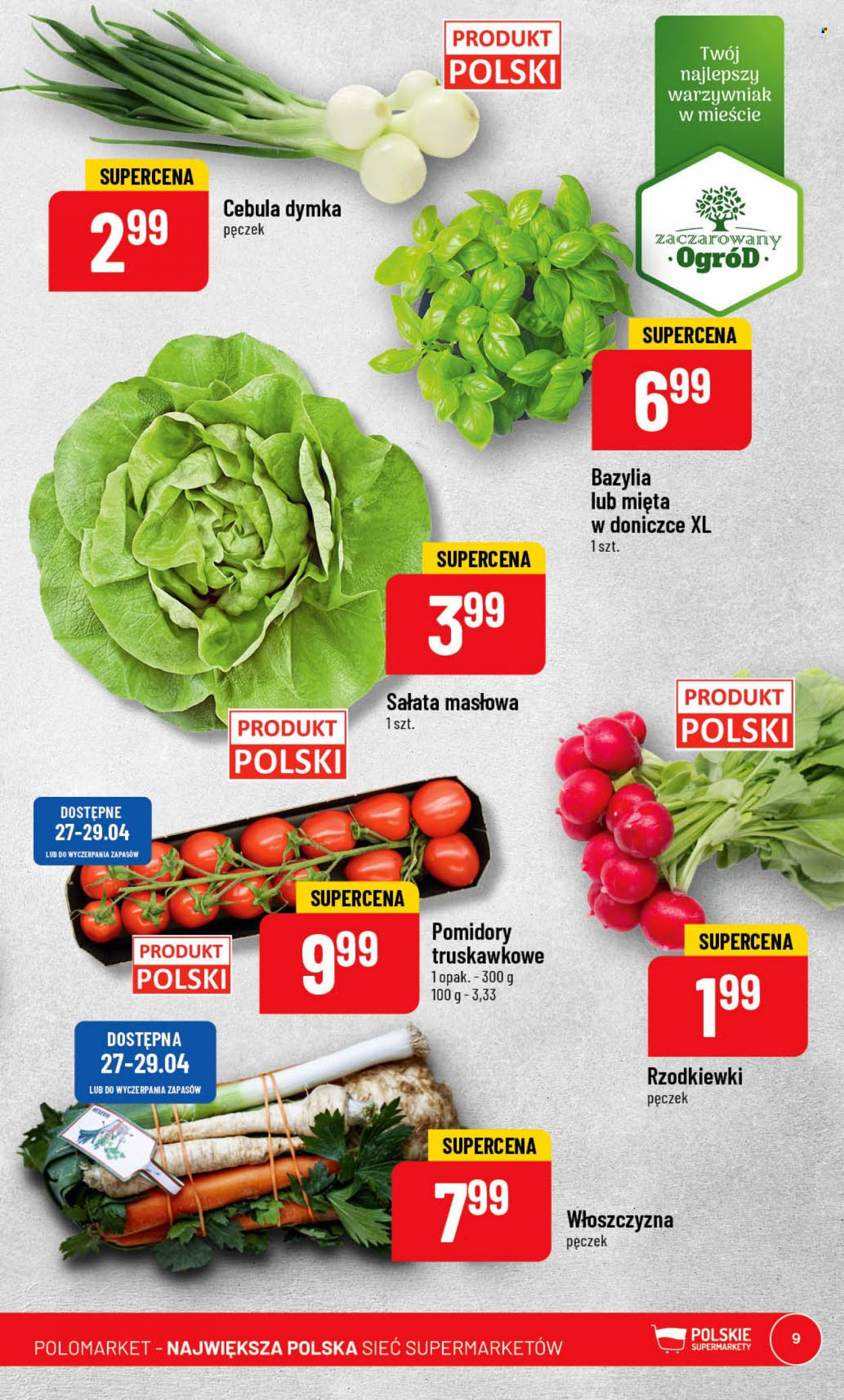 Gazetka Polomarket - 26.04.2023 - 2.05.2023. Strona 9
