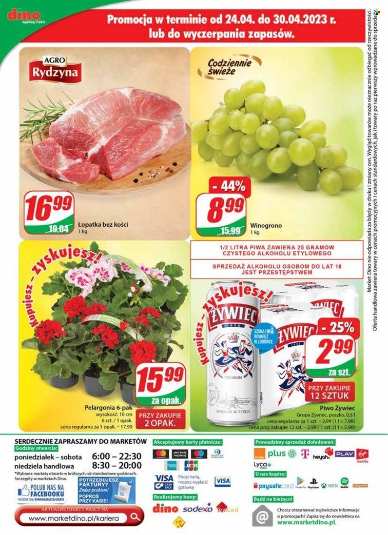 Gazetka Dino - 26.04.2023 - 2.05.2023. Strona 28