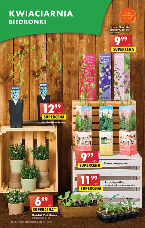 Gazetka Biedronka - 27.04.2023 - 2.05.2023. Strona 19