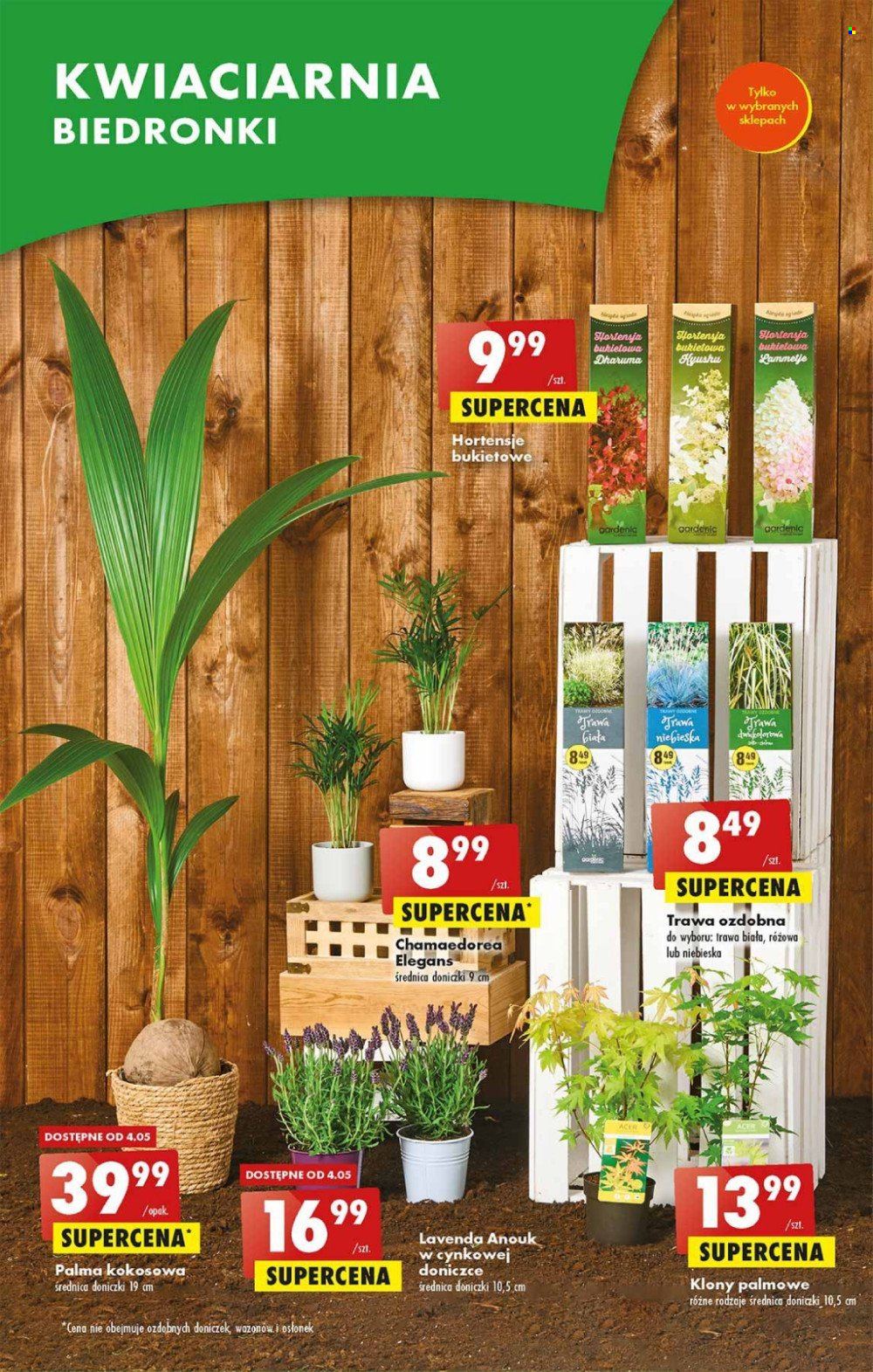 Gazetka Biedronka - 2.05.2023 - 6.05.2023. Strona 65
