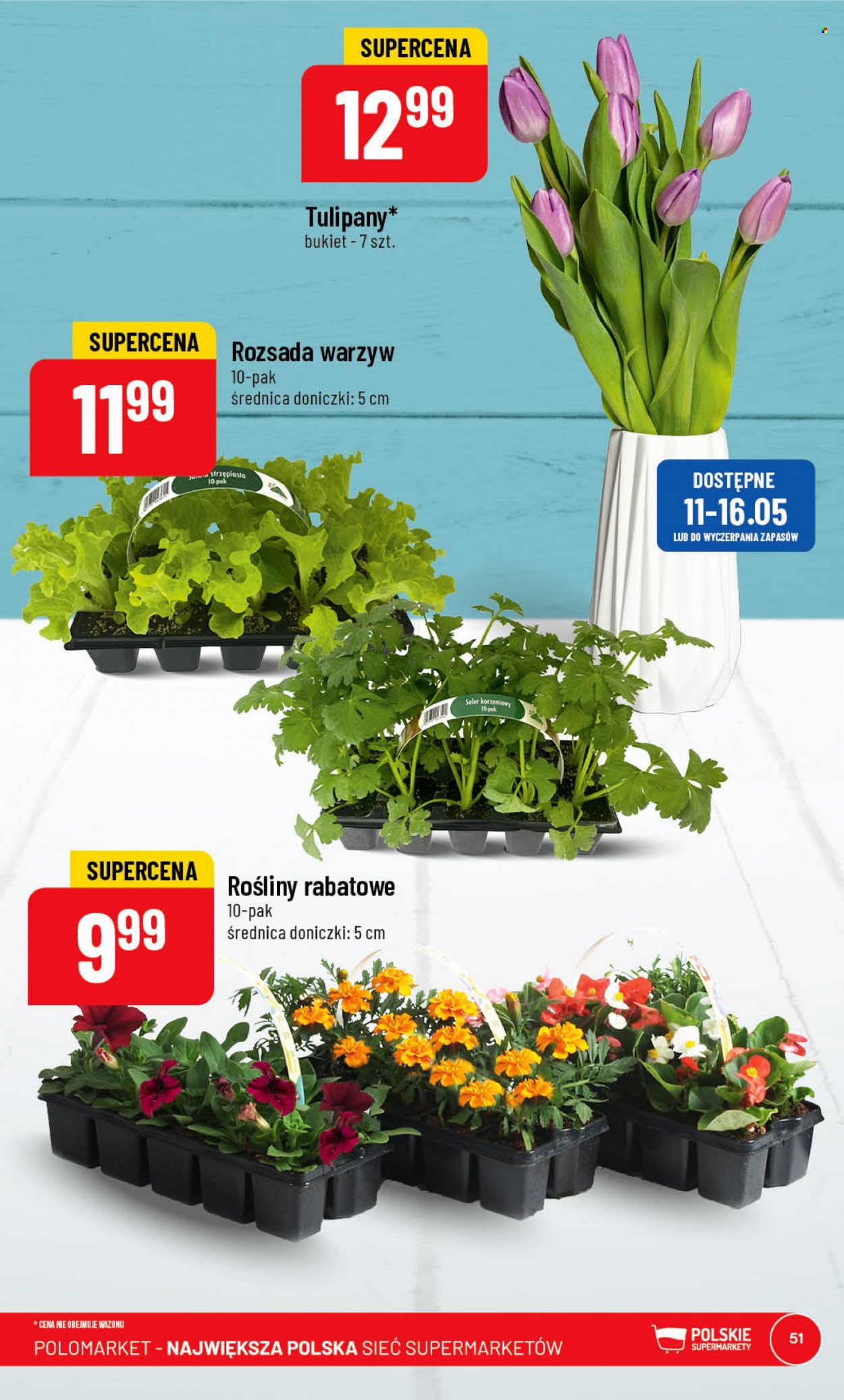 Gazetka Polomarket - 10.05.2023 - 16.05.2023. Strona 51
