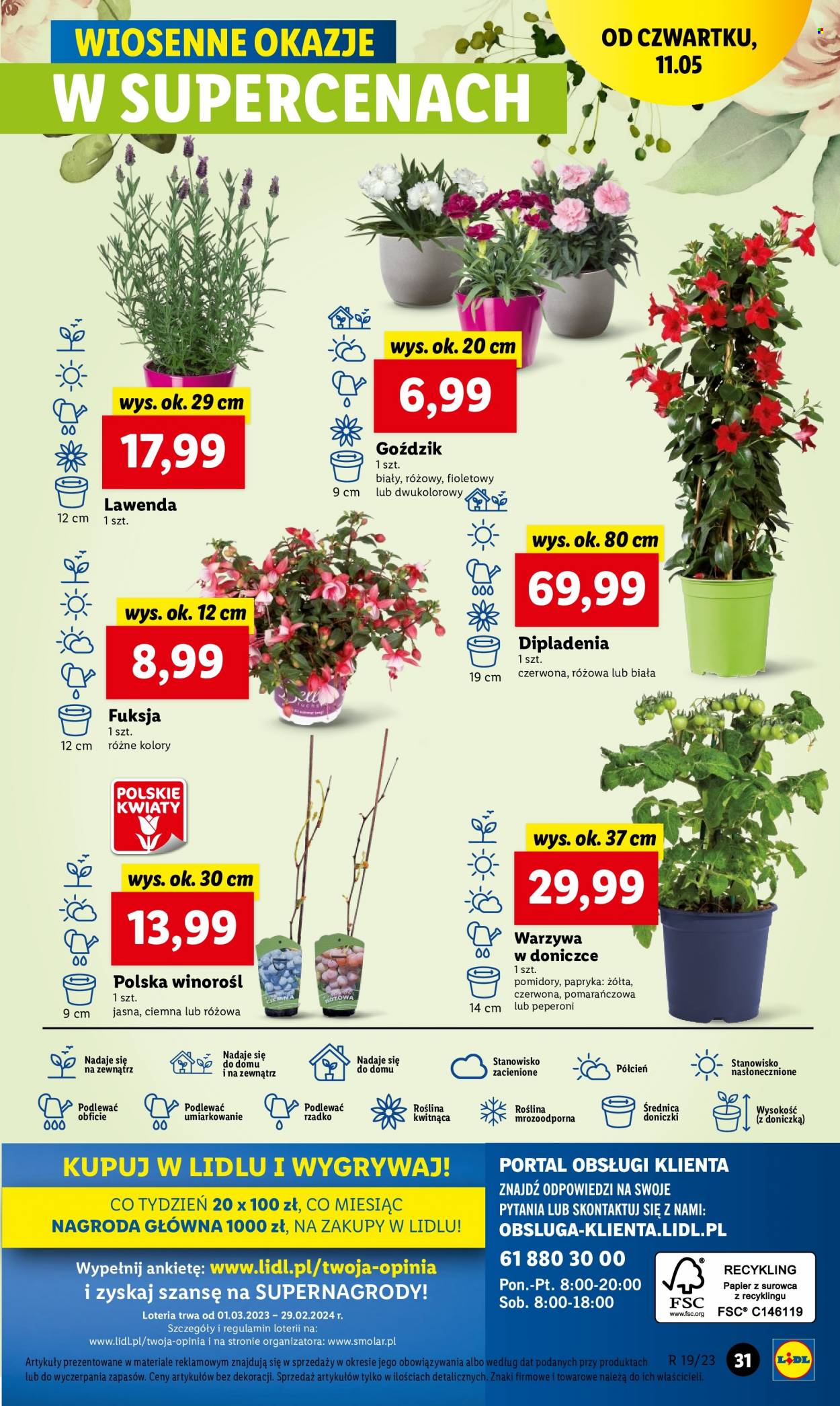 Gazetka Lidl - 11.05.2023 - 13.05.2023. Strona 37