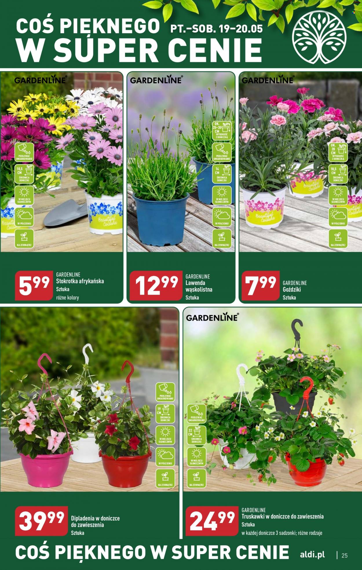 Gazetka ALDI - 15.05.2023 - 20.05.2023. Strona 25