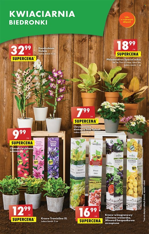 Gazetka Biedronka - 15.05.2023 - 20.05.2023. Strona 51