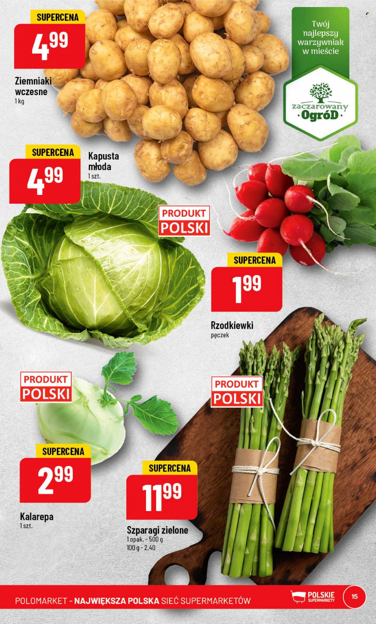 Gazetka Polomarket - 17.05.2023 - 23.05.2023. Strona 15