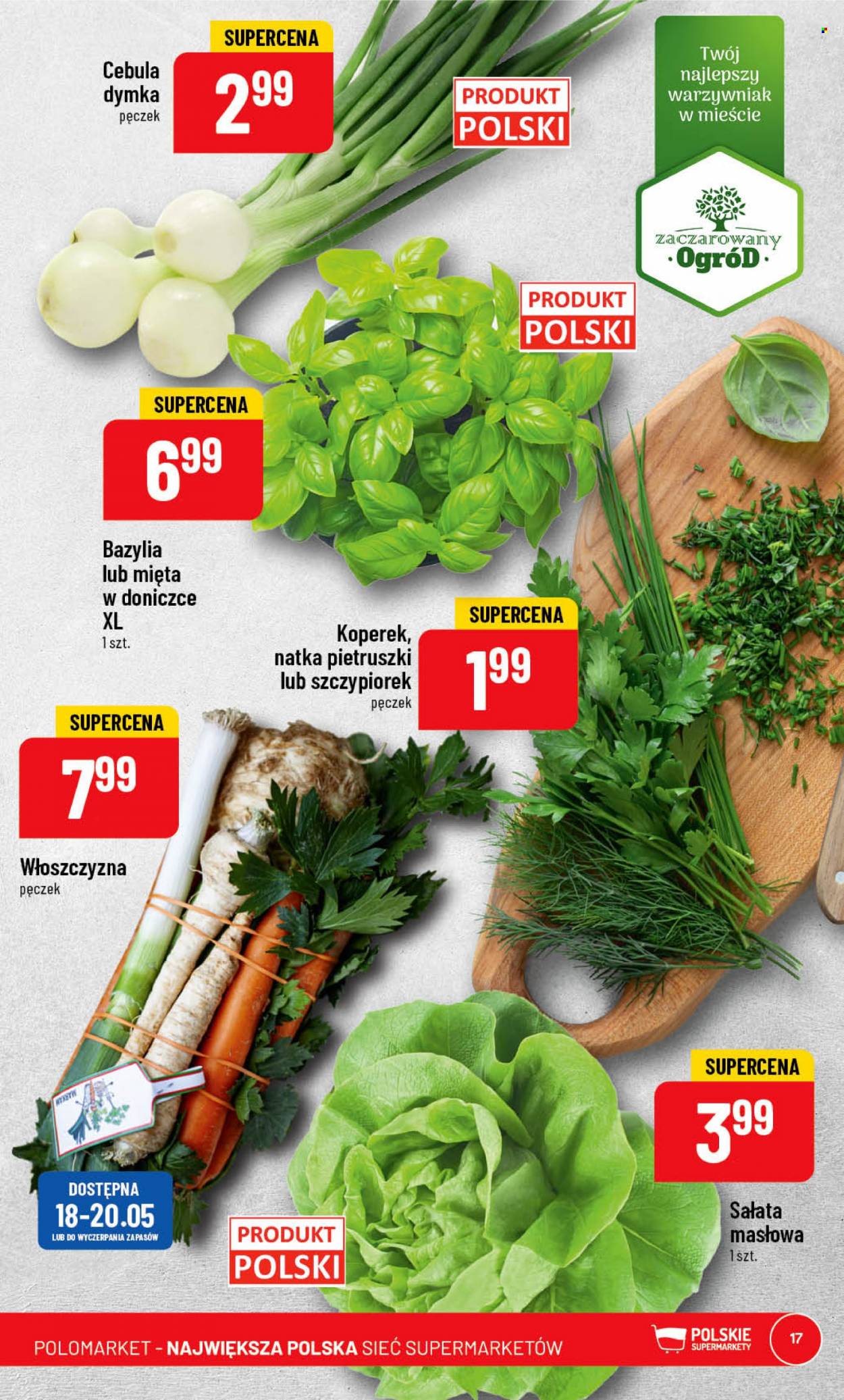 Gazetka Polomarket - 17.05.2023 - 23.05.2023. Strona 17