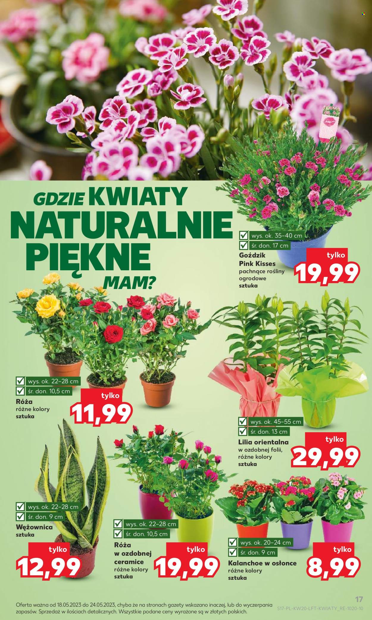Gazetka Kaufland - 18.05.2023 - 24.05.2023. Strona 17