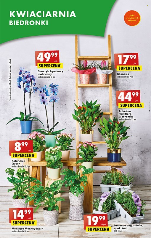 Gazetka Biedronka - 18.05.2023 - 24.05.2023. Strona 21