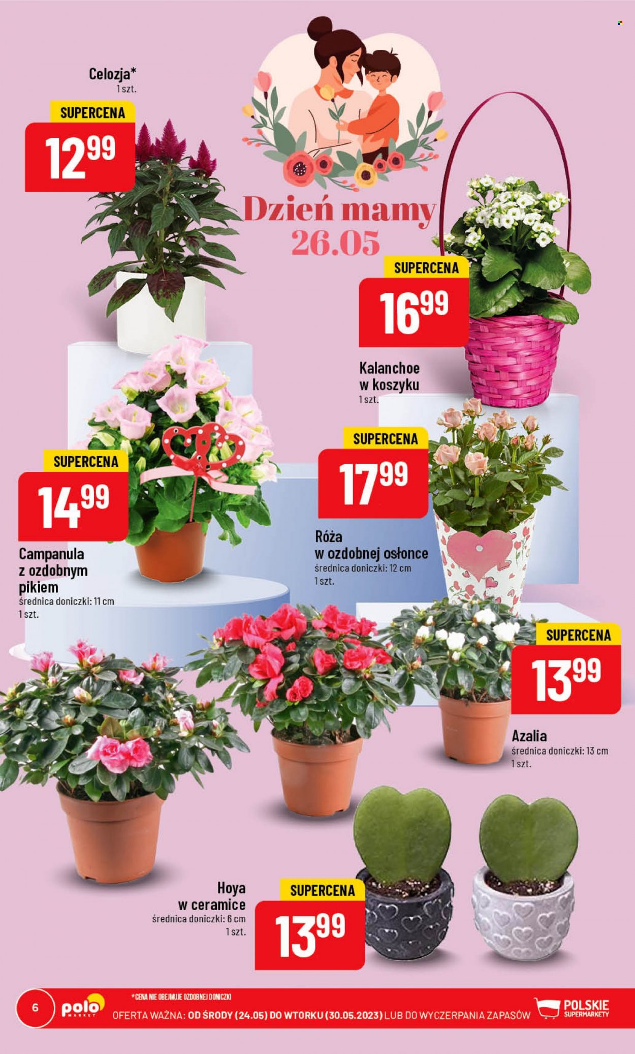 Gazetka Polomarket - 24.05.2023 - 30.05.2023. Strona 6