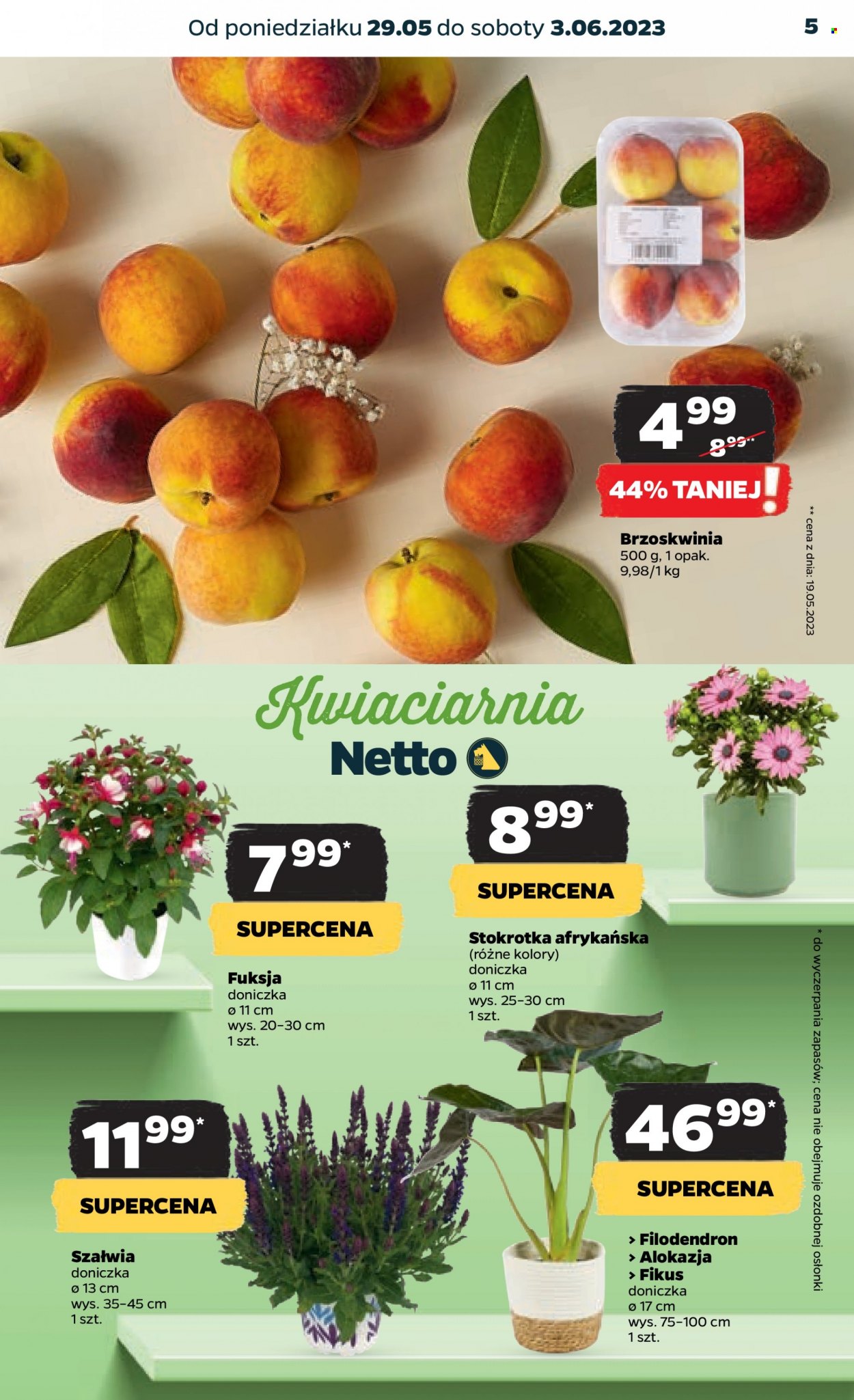 Gazetka Netto - 29.05.2023 - 3.06.2023. Strona 5