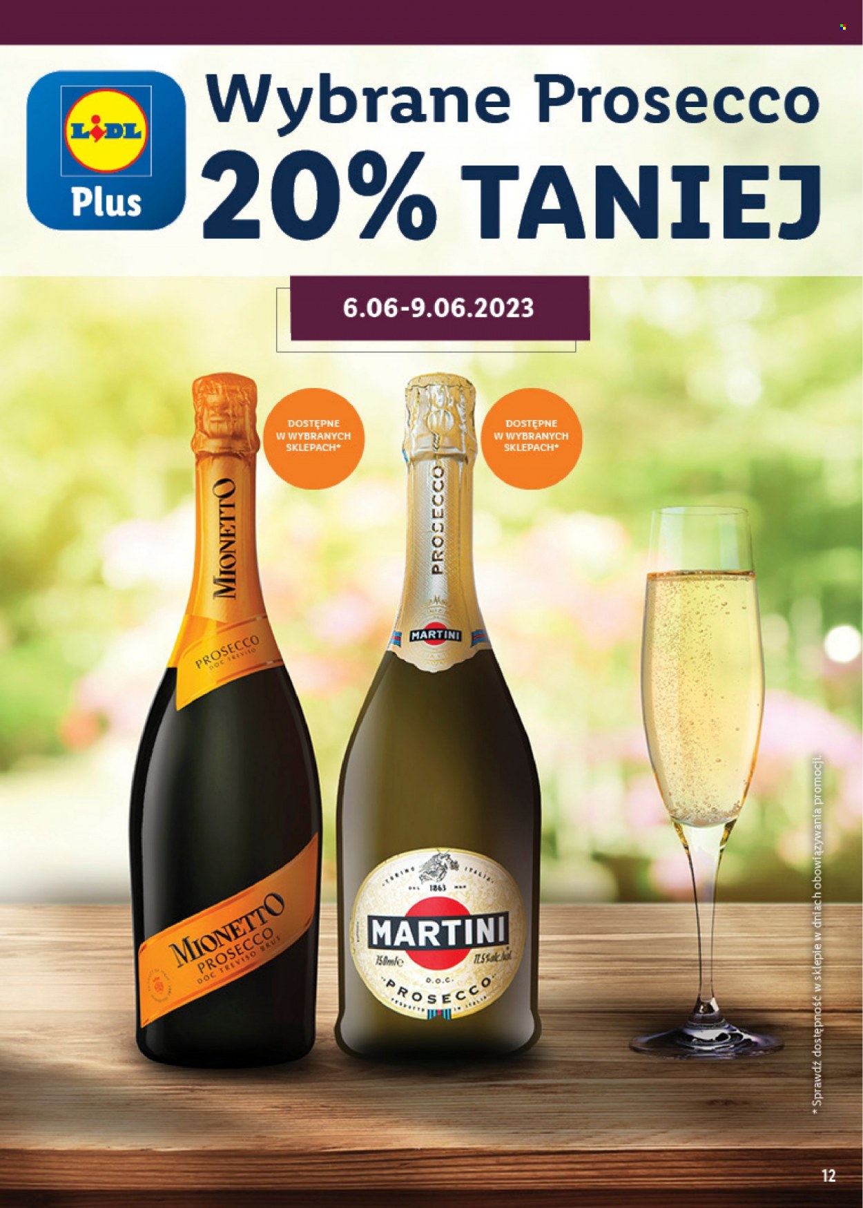 Gazetka Lidl - 29.05.2023 - 30.06.2023. Strona 12