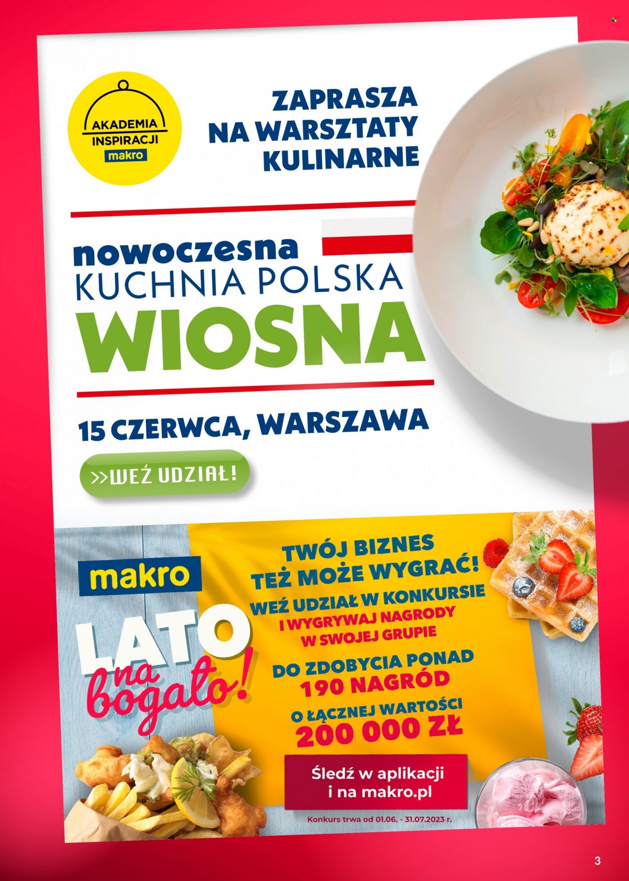 Gazetka Makro - 30.05.2023 - 12.06.2023. Strona 3