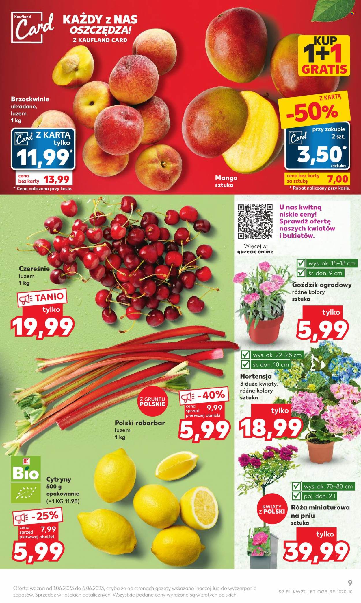 Gazetka Kaufland - 1.06.2023 - 6.06.2023. Strona 9