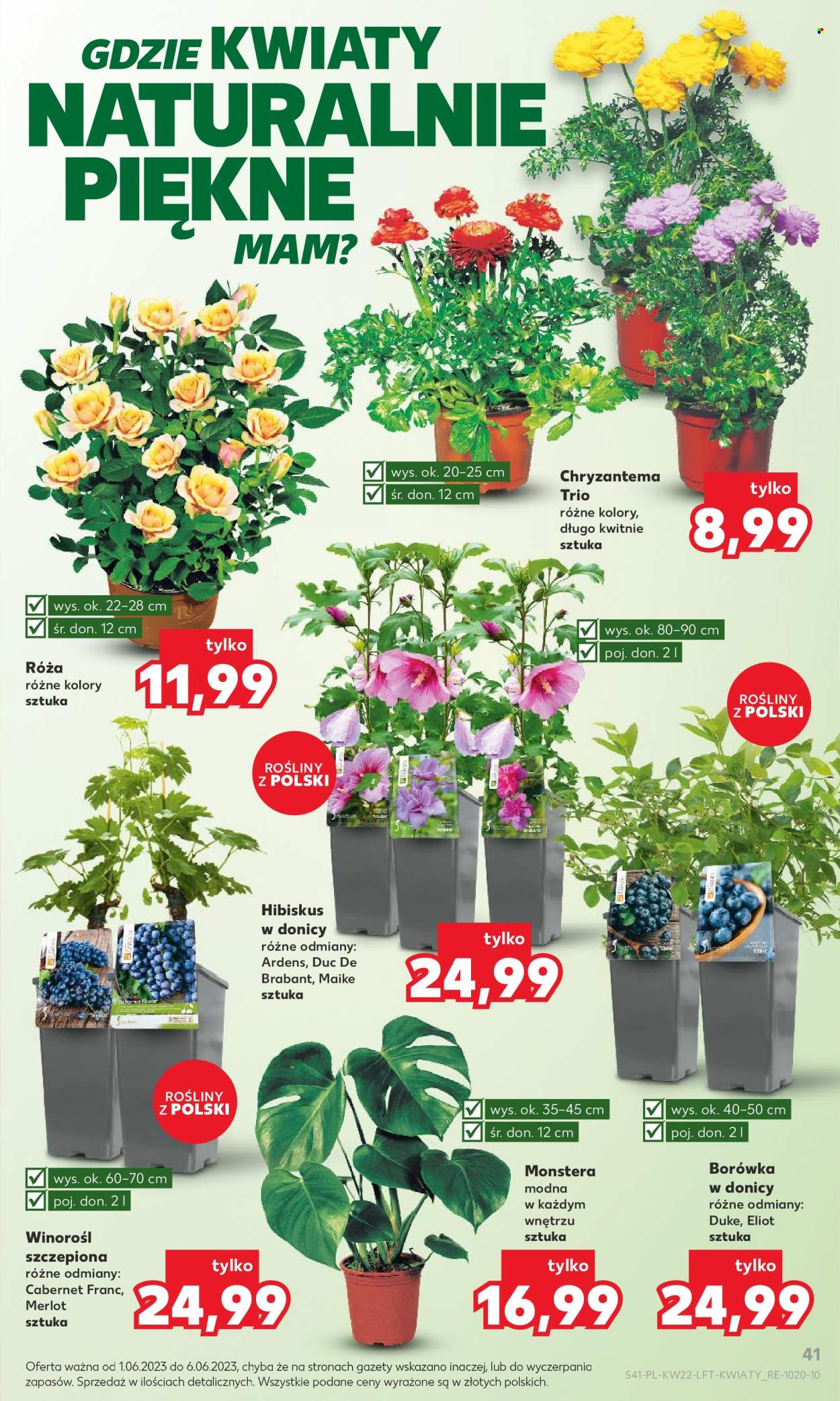 Gazetka Kaufland - 1.06.2023 - 6.06.2023. Strona 41