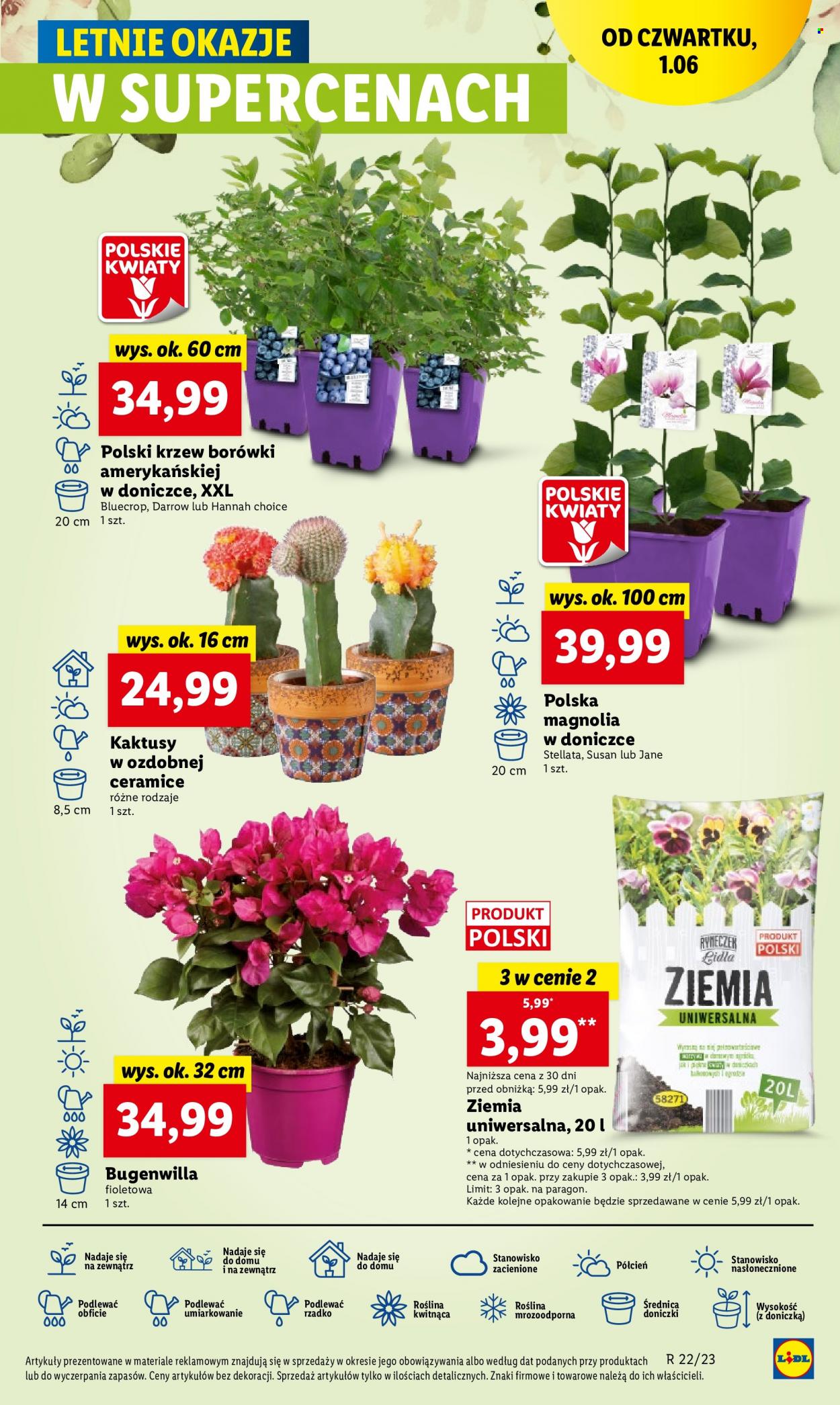 Gazetka Lidl - 1.06.2023 - 3.06.2023. Strona 41