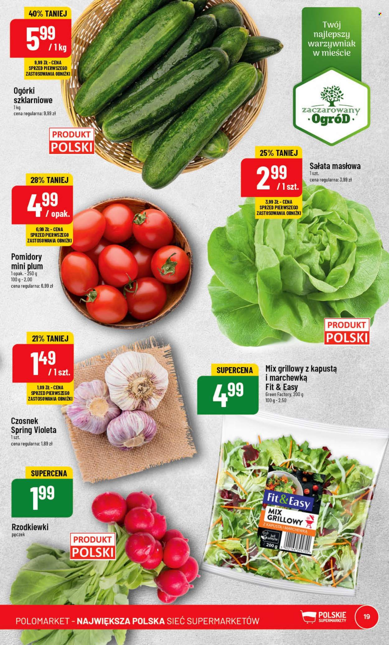 Gazetka Polomarket - 31.05.2023 - 6.06.2023. Strona 19