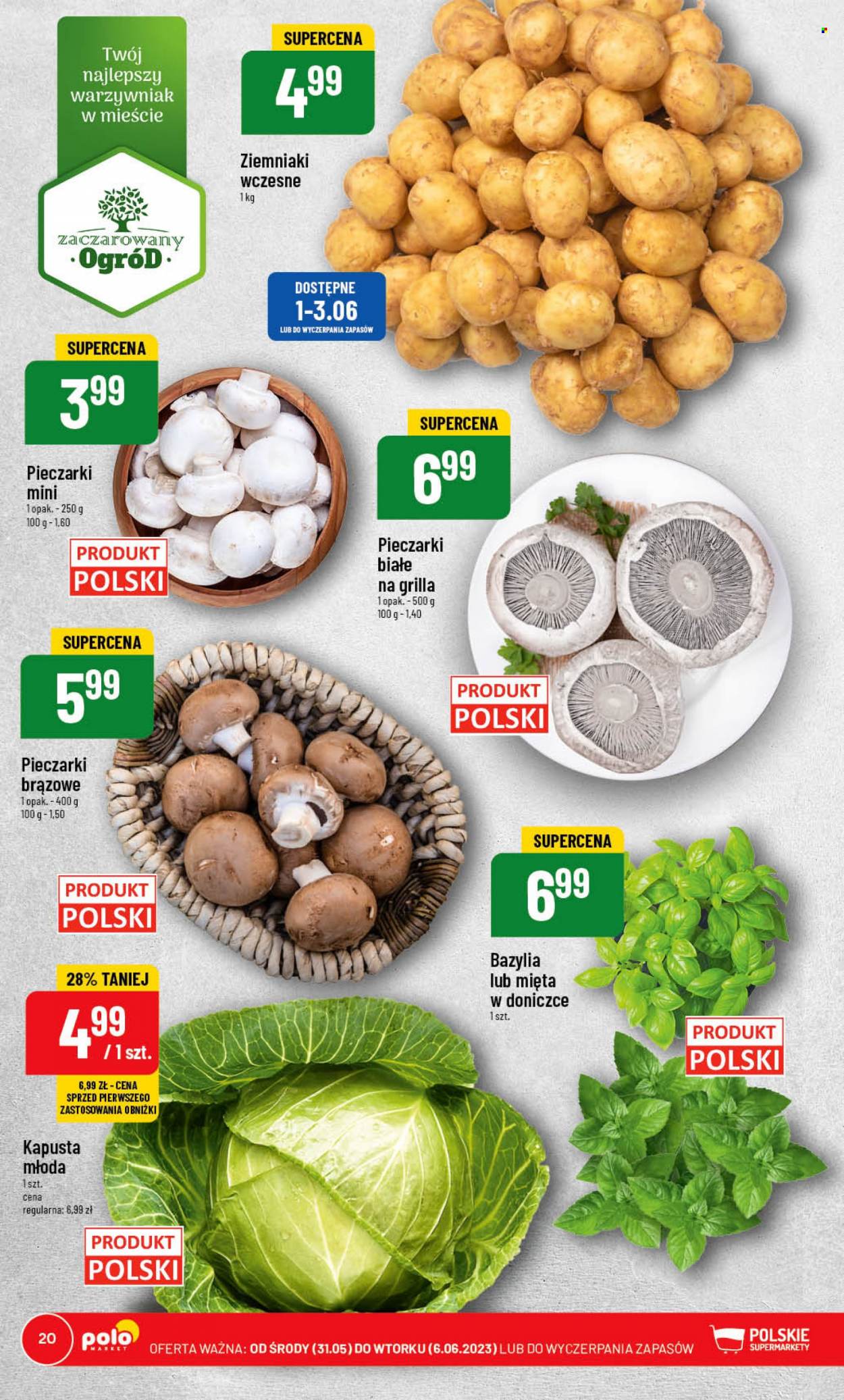 Gazetka Polomarket - 31.05.2023 - 6.06.2023. Strona 20