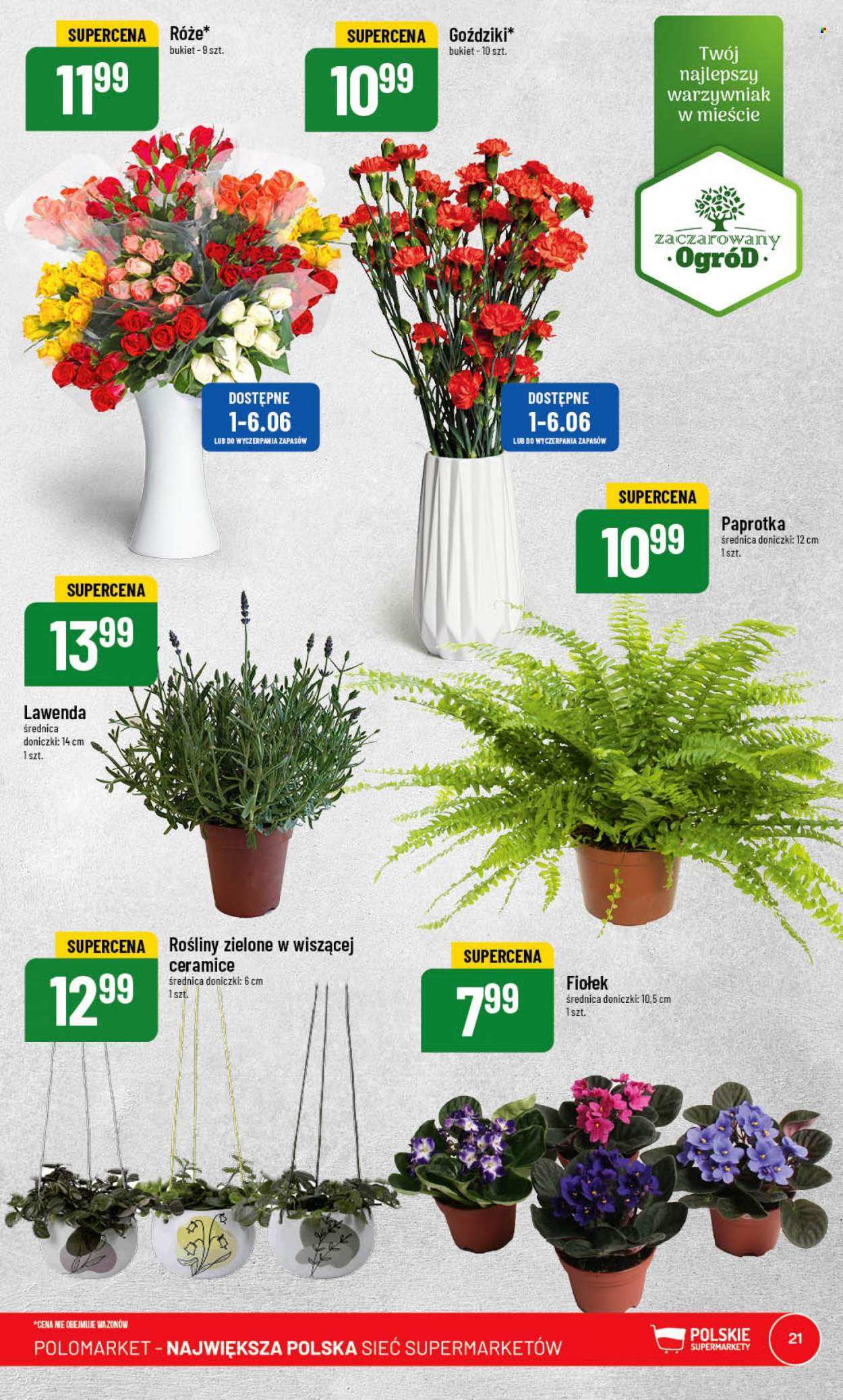 Gazetka Polomarket - 31.05.2023 - 6.06.2023. Strona 21