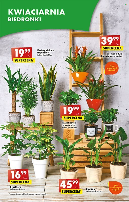 Gazetka Biedronka - 1.06.2023 - 7.06.2023. Strona 56