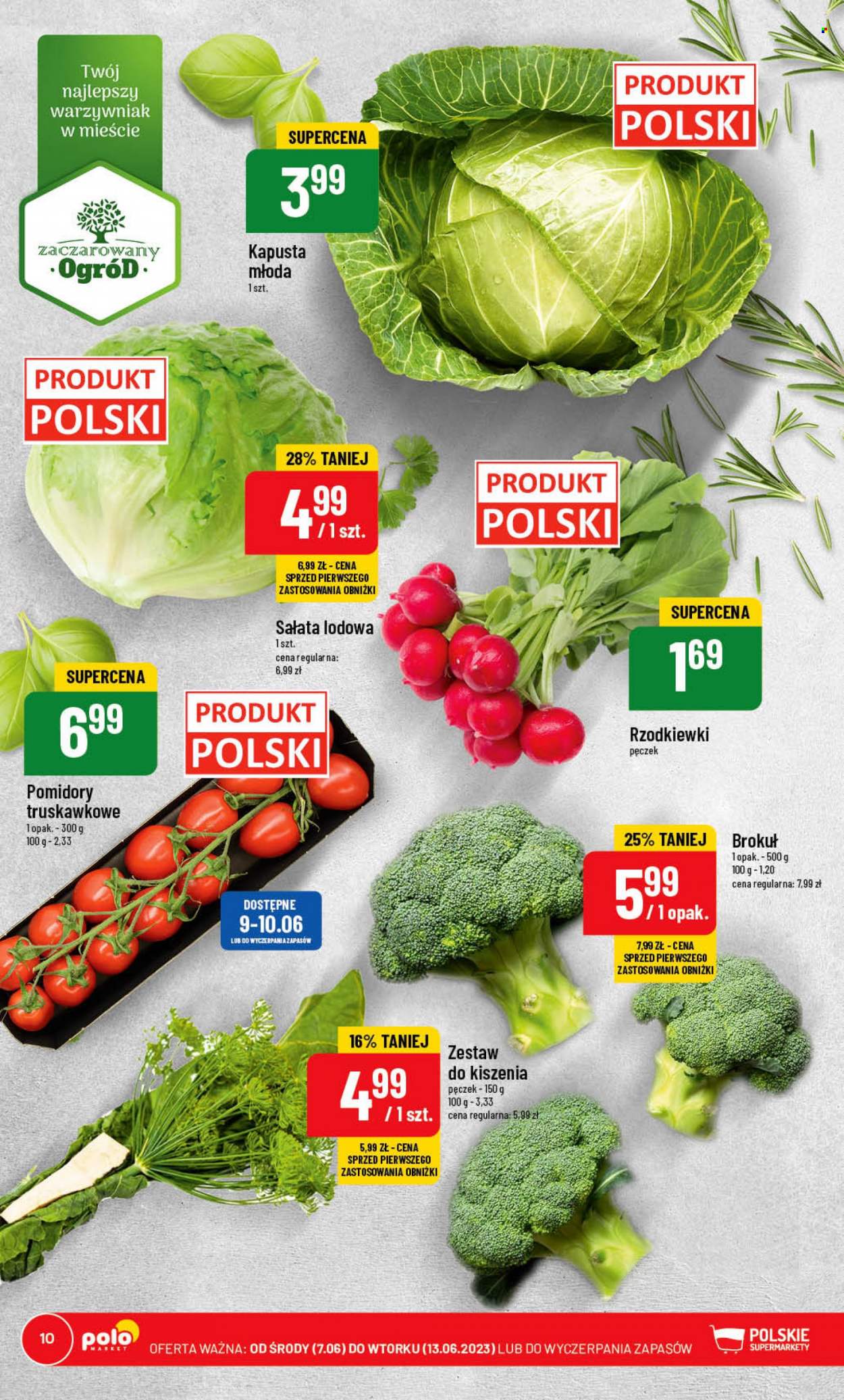 Gazetka Polomarket - 7.06.2023 - 13.06.2023. Strona 10