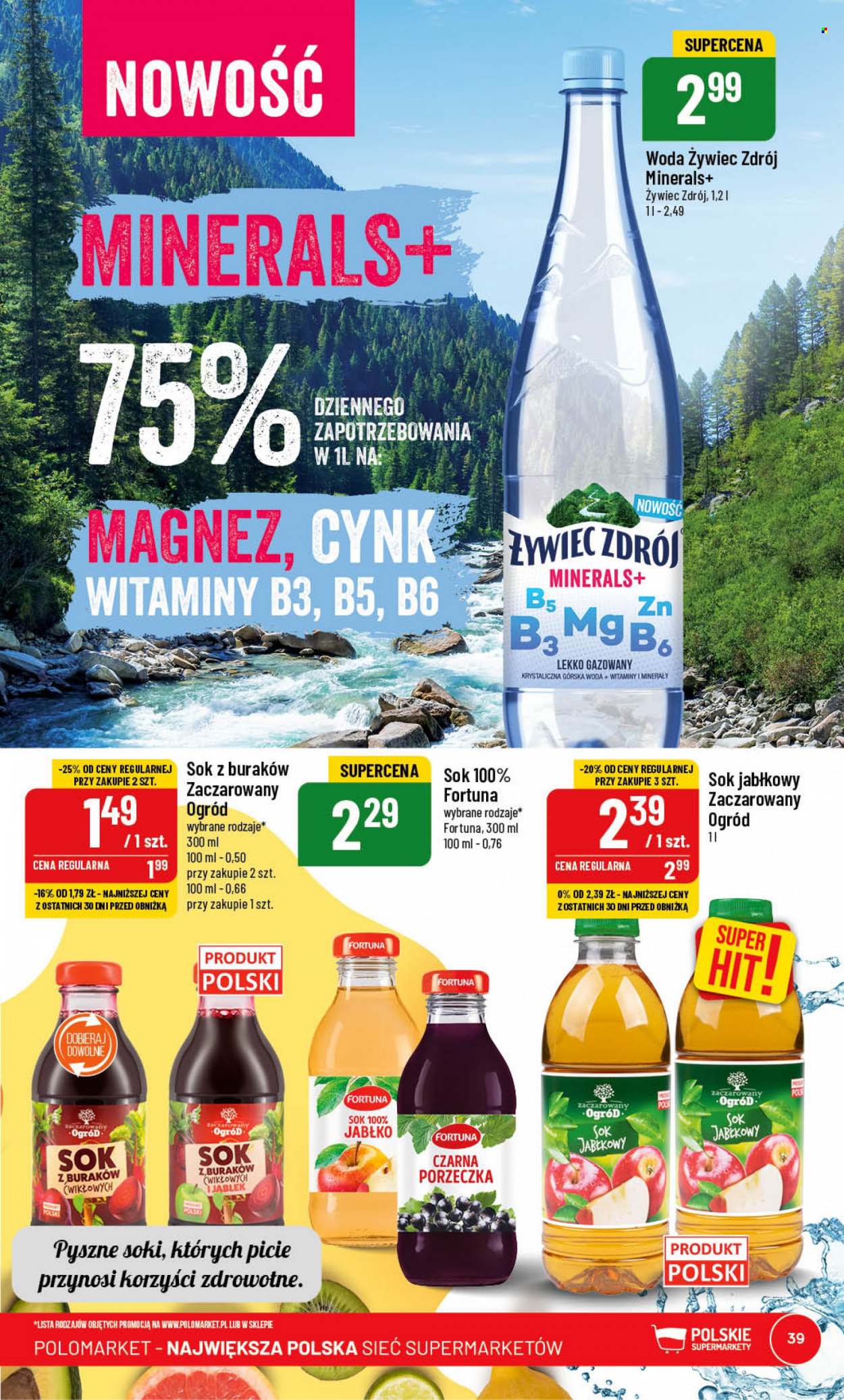 Gazetka Polomarket - 7.06.2023 - 13.06.2023. Strona 39