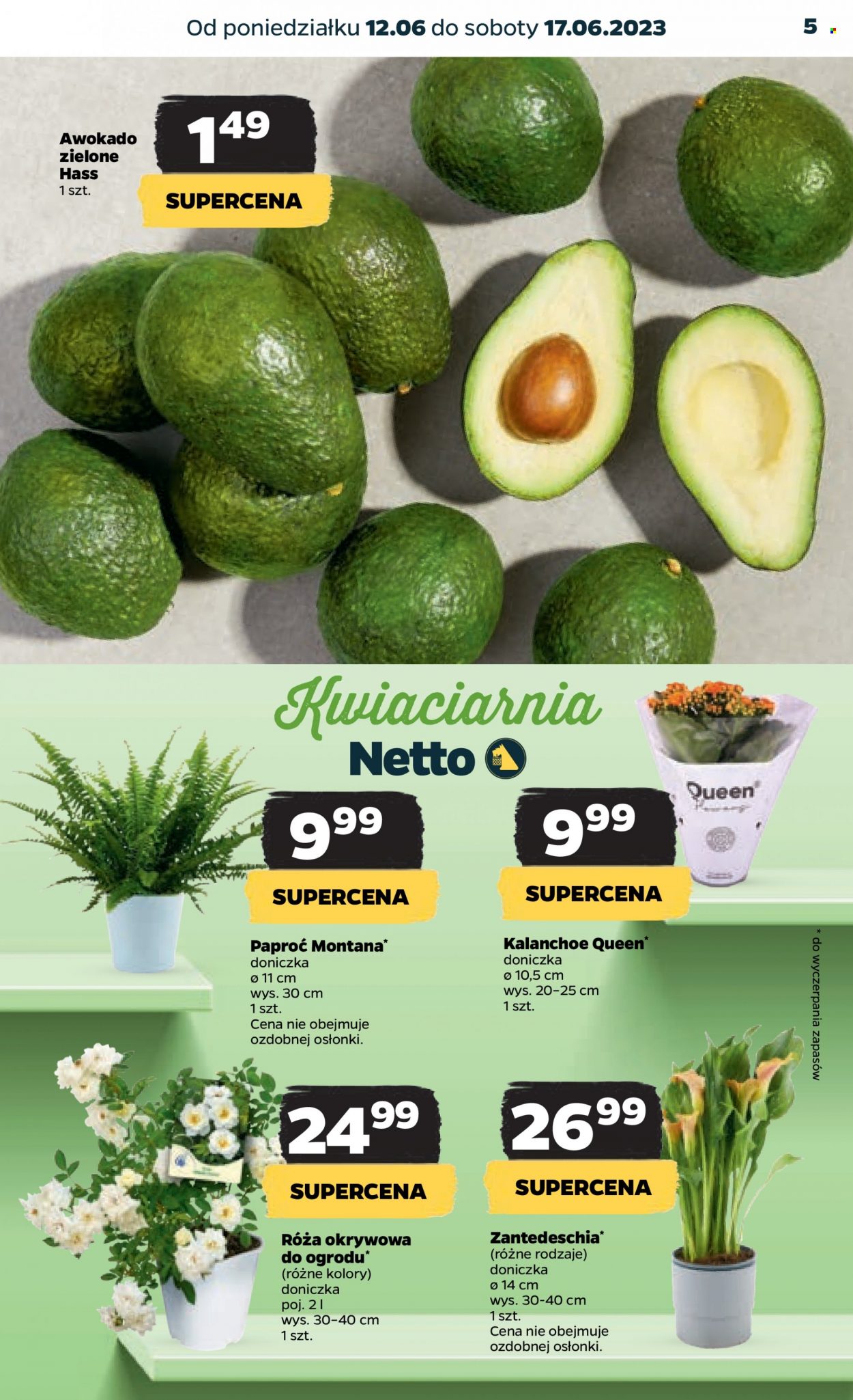 Gazetka Netto - 12.06.2023 - 17.06.2023. Strona 5