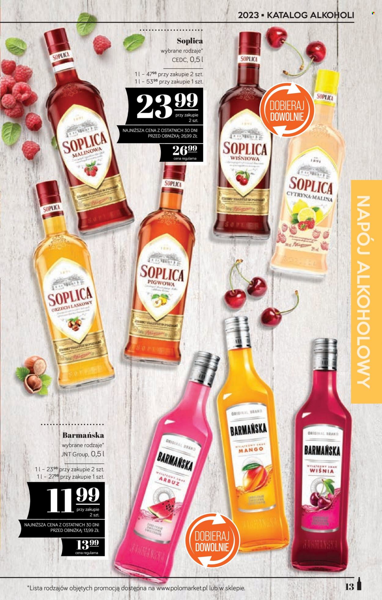 Gazetka Polomarket - 16.06.2023 - 13.07.2023. Strona 13