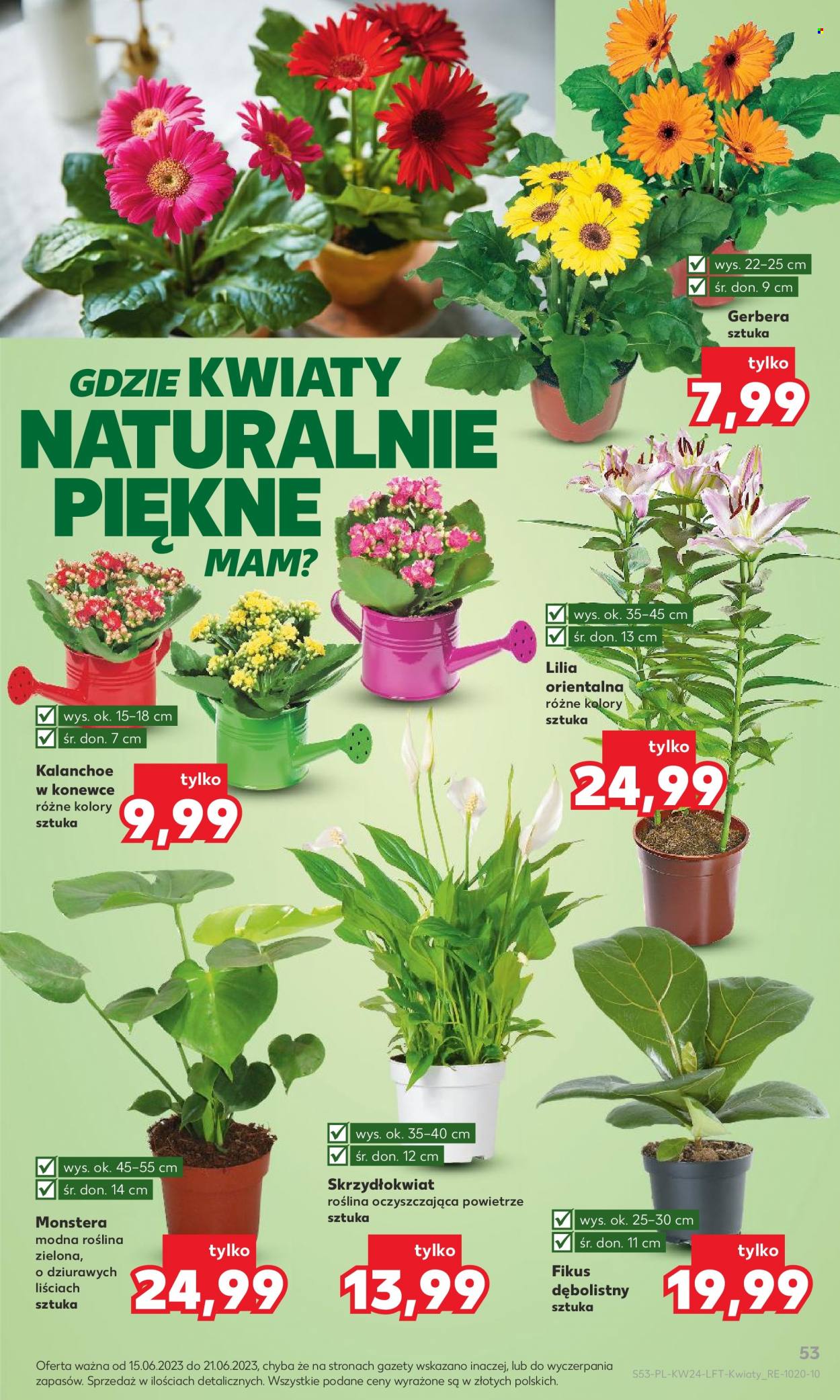 Gazetka Kaufland - 15.06.2023 - 21.06.2023. Strona 53