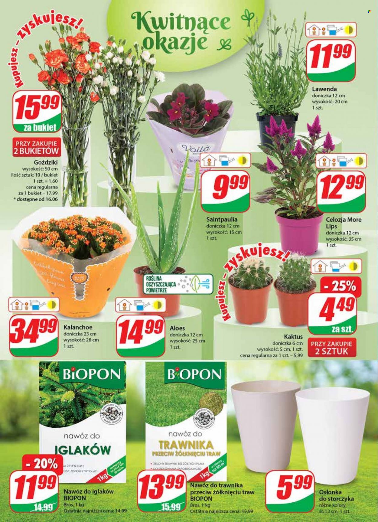 Gazetka Dino - 14.06.2023 - 20.06.2023. Strona 18