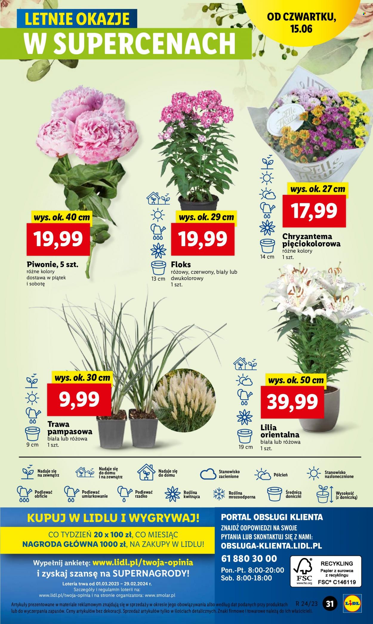 Gazetka Lidl - 15.06.2023 - 17.06.2023. Strona 39