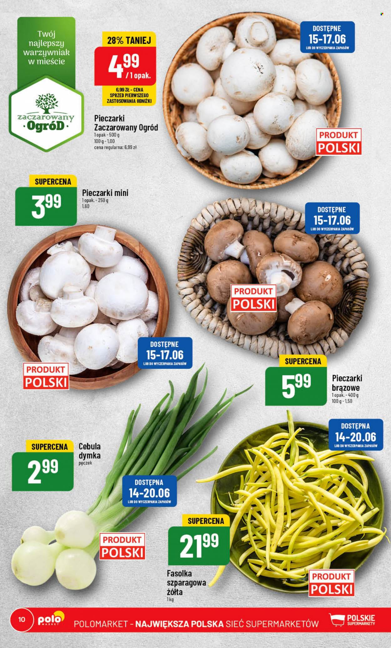 Gazetka Polomarket - 14.06.2023 - 20.06.2023. Strona 10