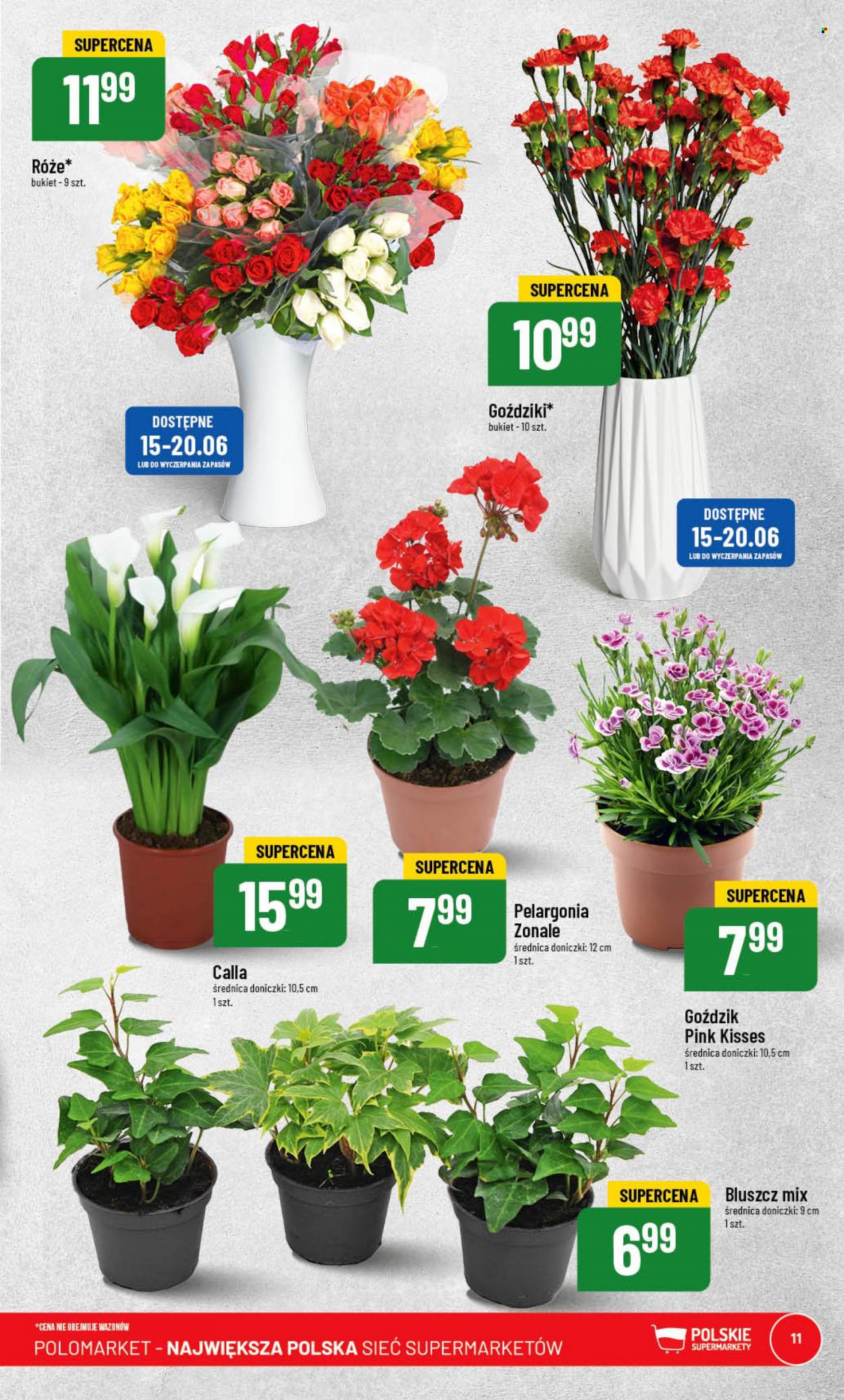 Gazetka Polomarket - 14.06.2023 - 20.06.2023. Strona 11