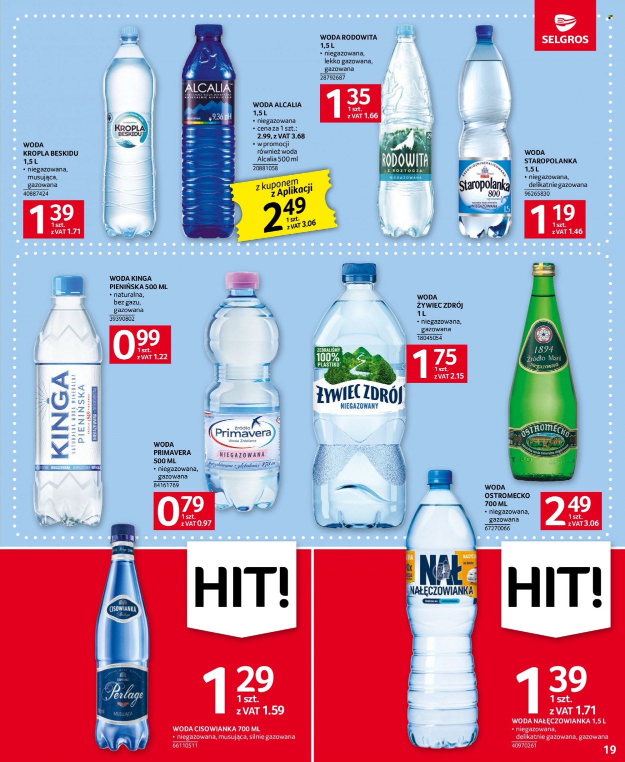 Gazetka Selgros - 15.06.2023 - 28.06.2023. Strona 19
