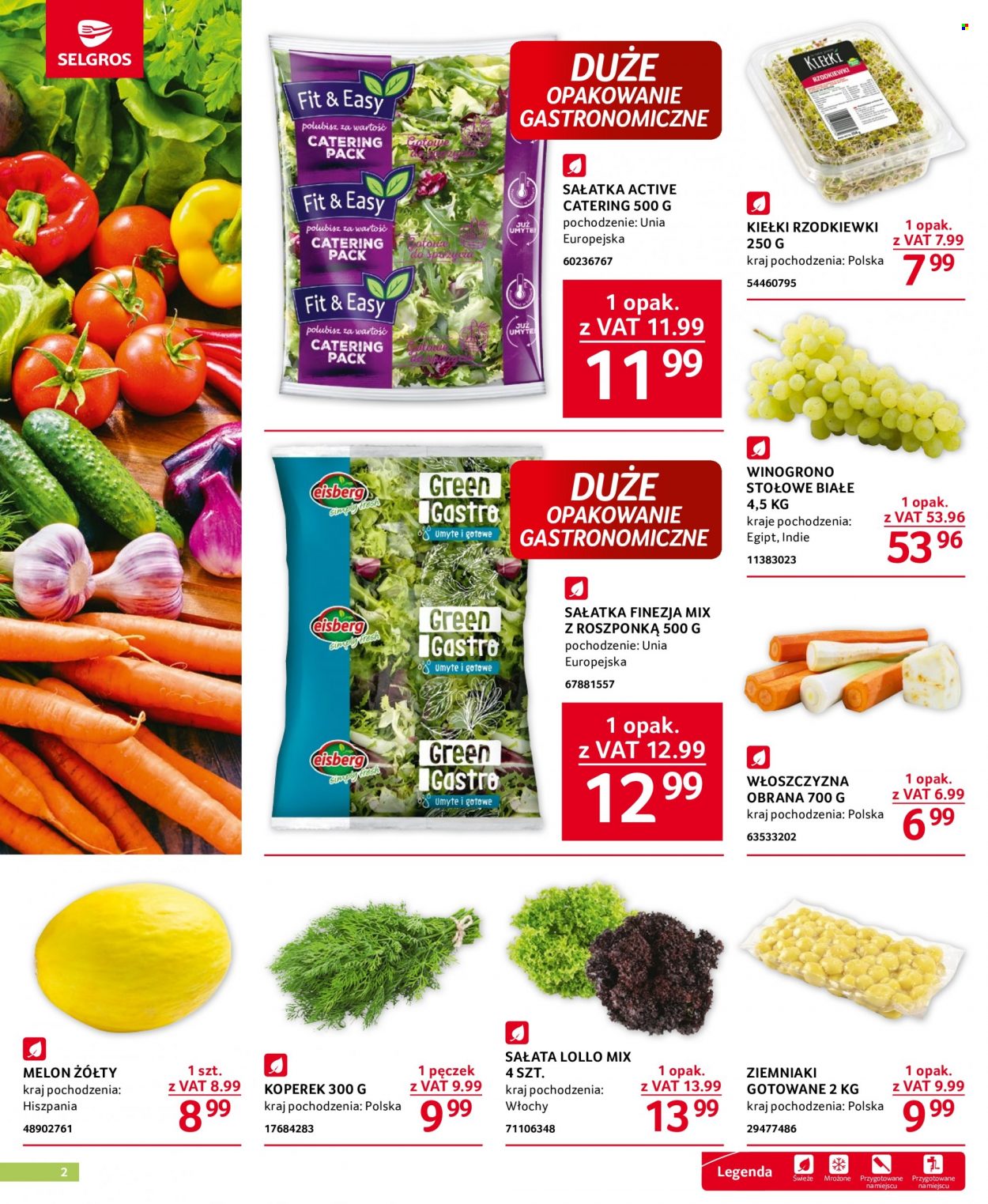 Gazetka Selgros - 15.06.2023 - 28.06.2023. Strona 2