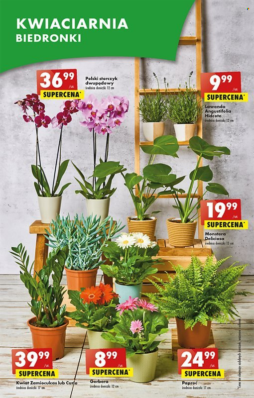Gazetka Biedronka - 15.06.2023 - 21.06.2023. Strona 56