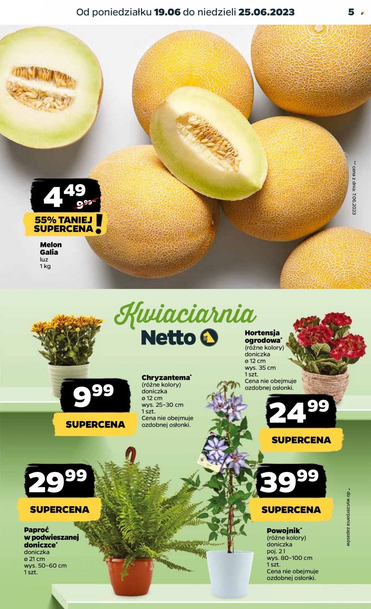 Gazetka Netto - 19.06.2023 - 25.06.2023. Strona 5