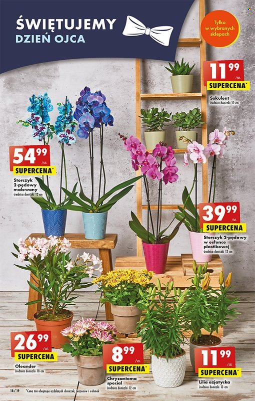 Gazetka Biedronka - 19.06.2023 - 25.06.2023. Strona 18