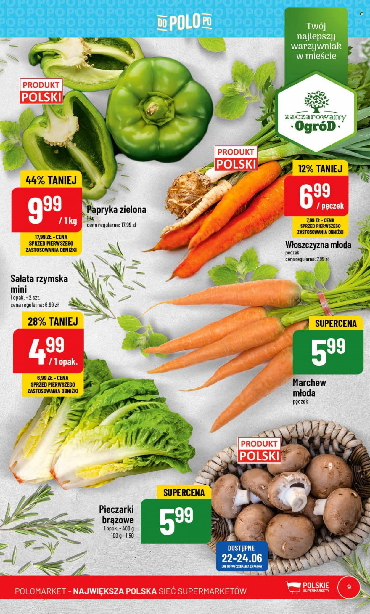 Gazetka Polomarket - 21.06.2023 - 27.06.2023. Strona 9