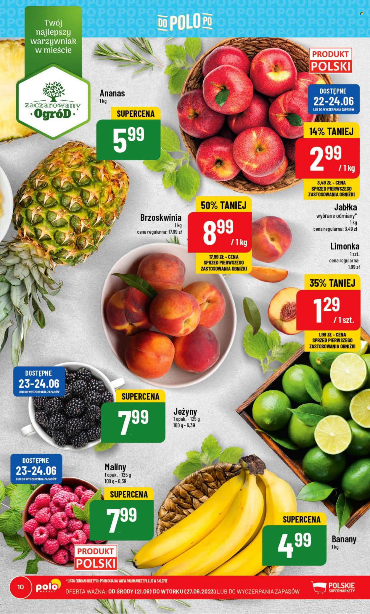 Gazetka Polomarket - 21.06.2023 - 27.06.2023. Strona 10