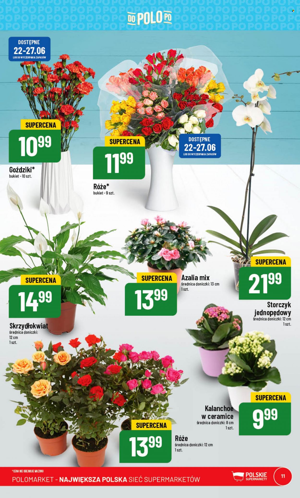Gazetka Polomarket - 21.06.2023 - 27.06.2023. Strona 11