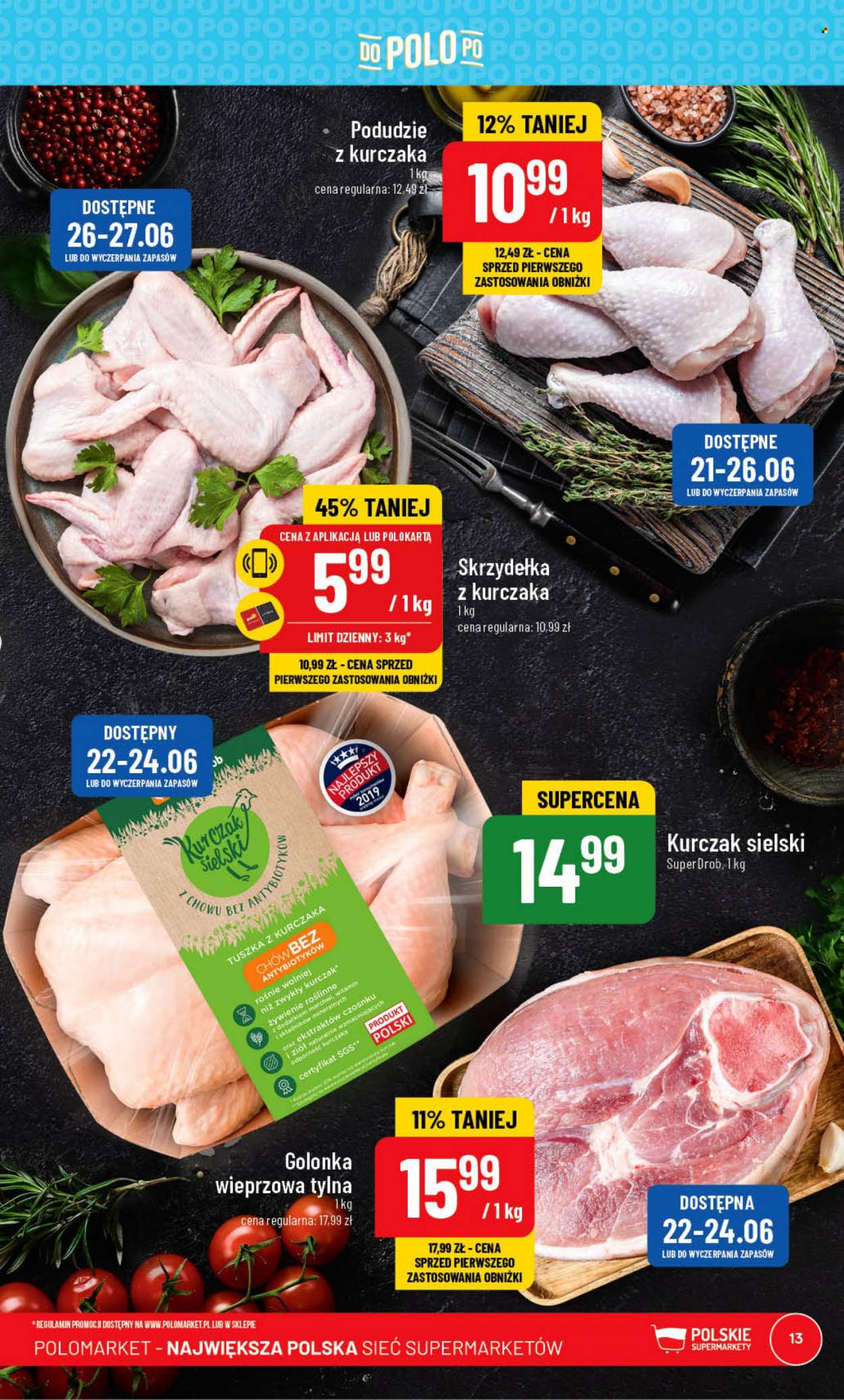 Gazetka Polomarket - 21.06.2023 - 27.06.2023. Strona 13
