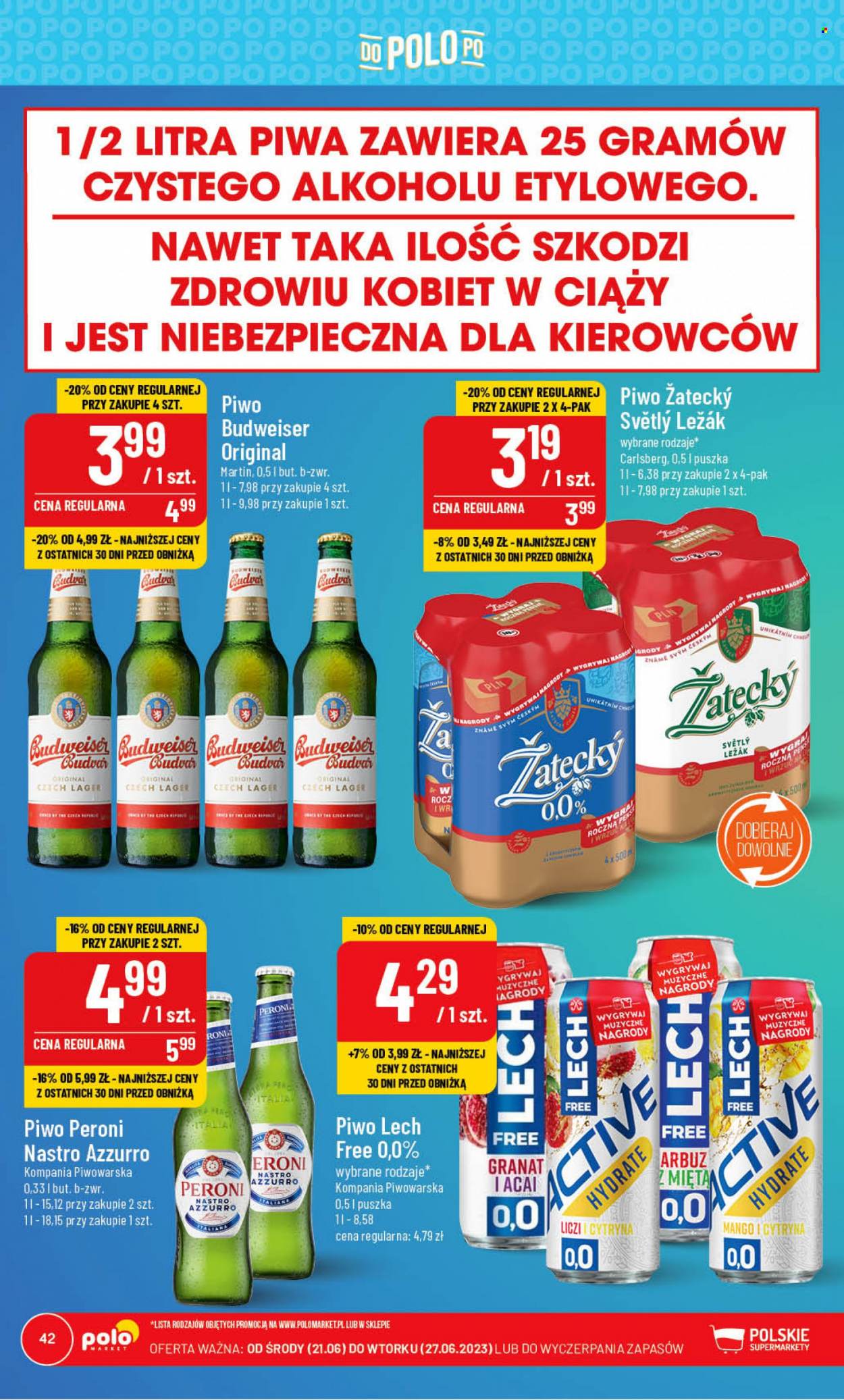 Gazetka Polomarket - 21.06.2023 - 27.06.2023. Strona 42
