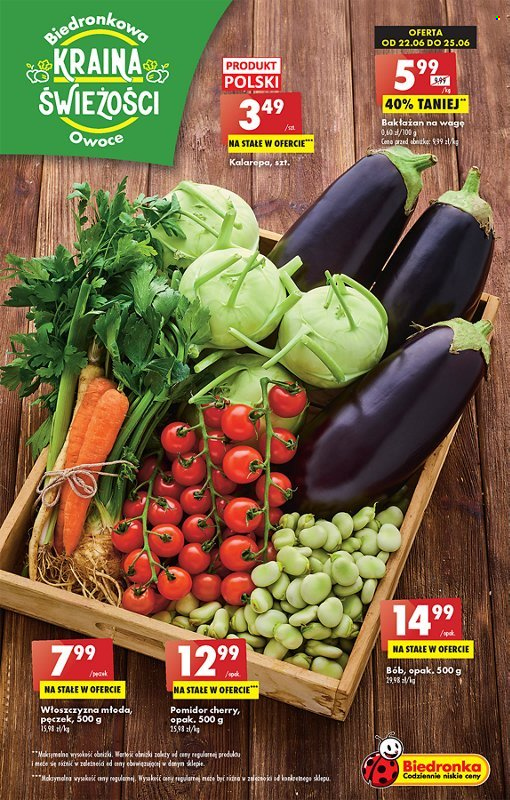 Gazetka Biedronka - 22.06.2023 - 28.06.2023. Strona 17